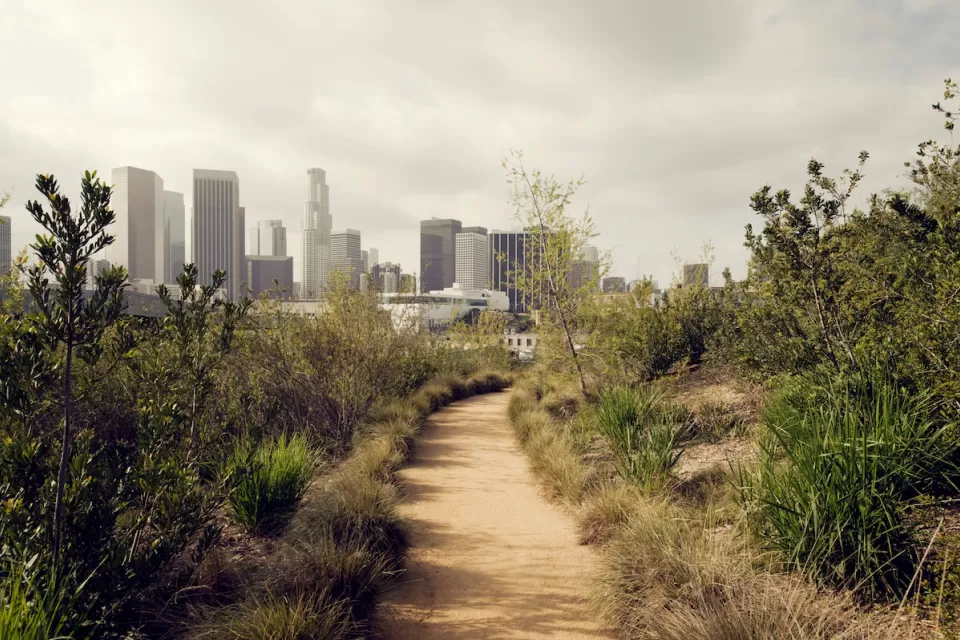 View of dirt trail between shrubs with downtown Los Angeles skyline in background.
